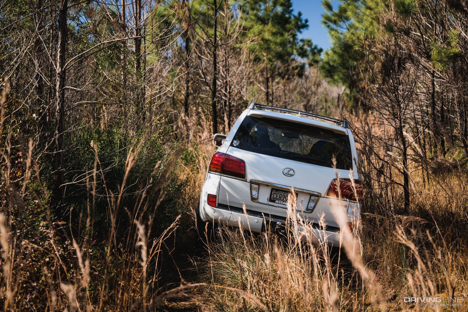 Lexus LX570 on wooded trail