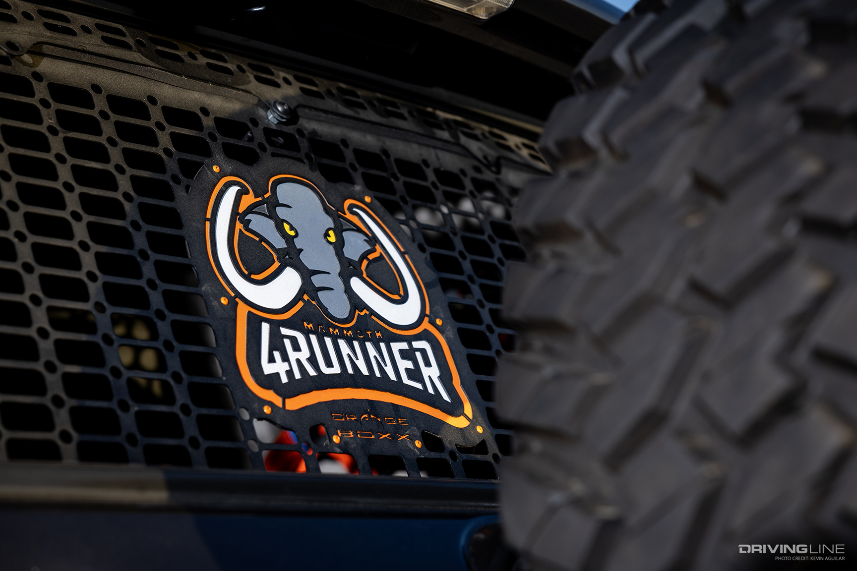 Rear Molle Panel of Michael Devecchio's 2014 Toyota 4Runner on 38-inch Trail Grappler M/T Tires