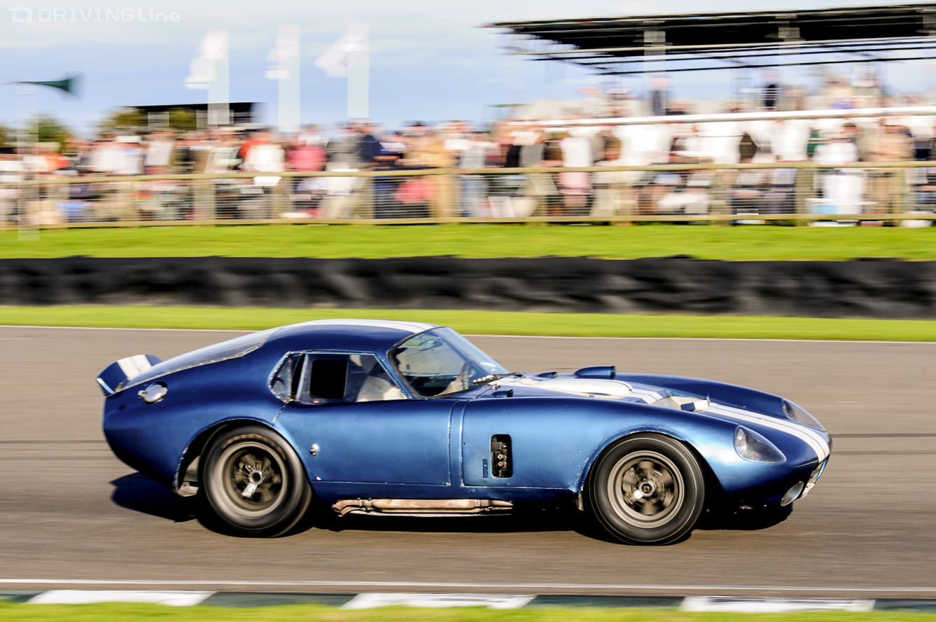 Goodwood Revival Cobra Daytonas