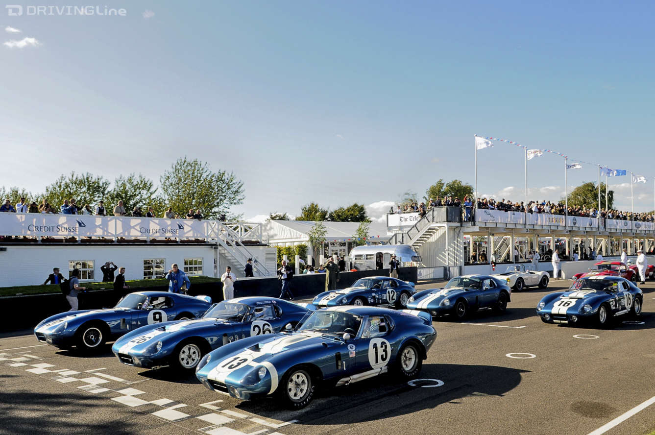Goodwood Revival Cobra Daytonas