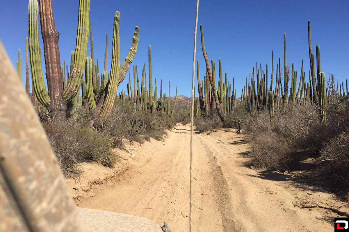 shannon campbell 4400 class 2015 baja 1000 winner 03