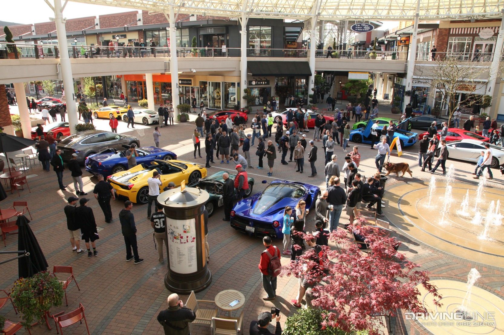 Seattle's Exotics at Redmond Town Center Weekend Morning Car Meet