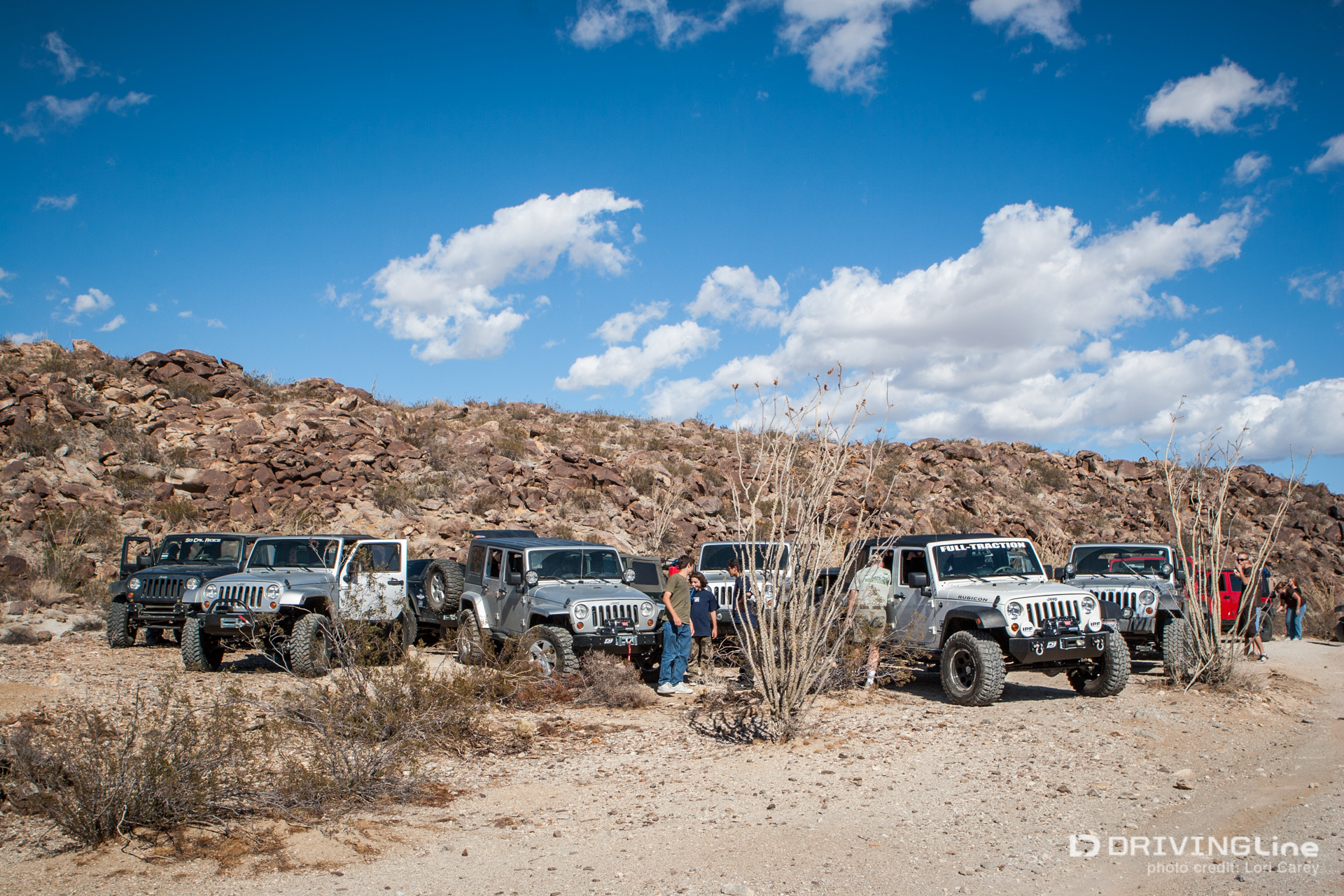 003 jeep wranglers desert