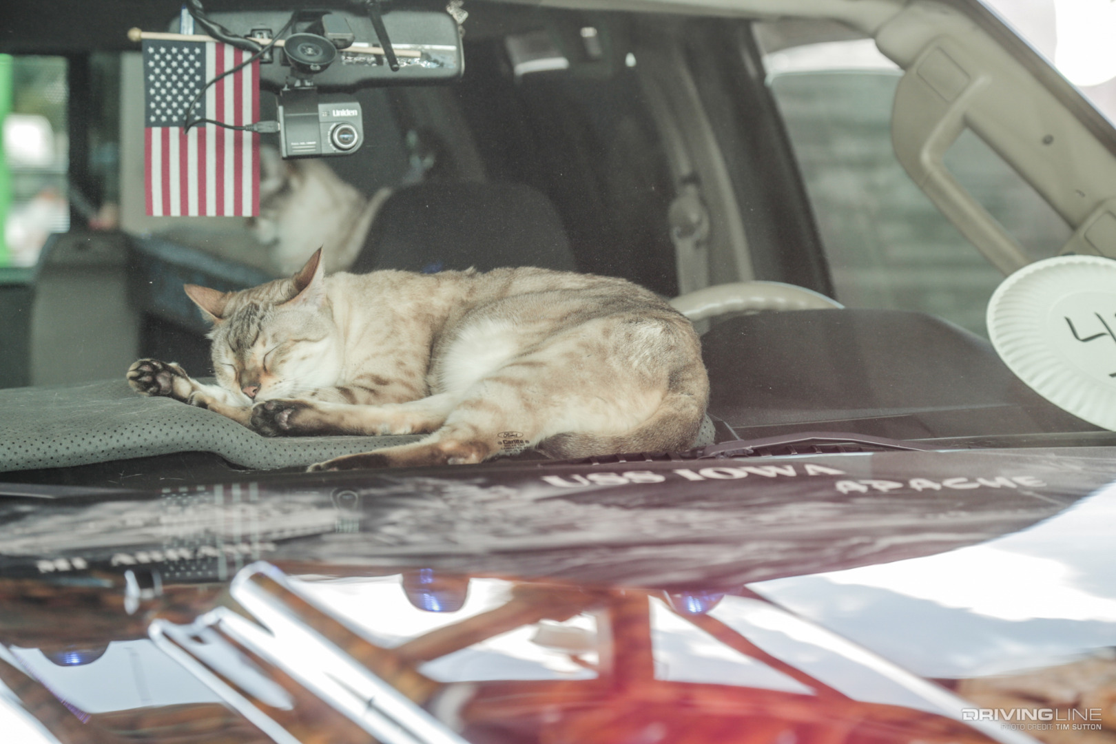 008-Scheid-Diesel-Extravaganza-Show-And-Shine