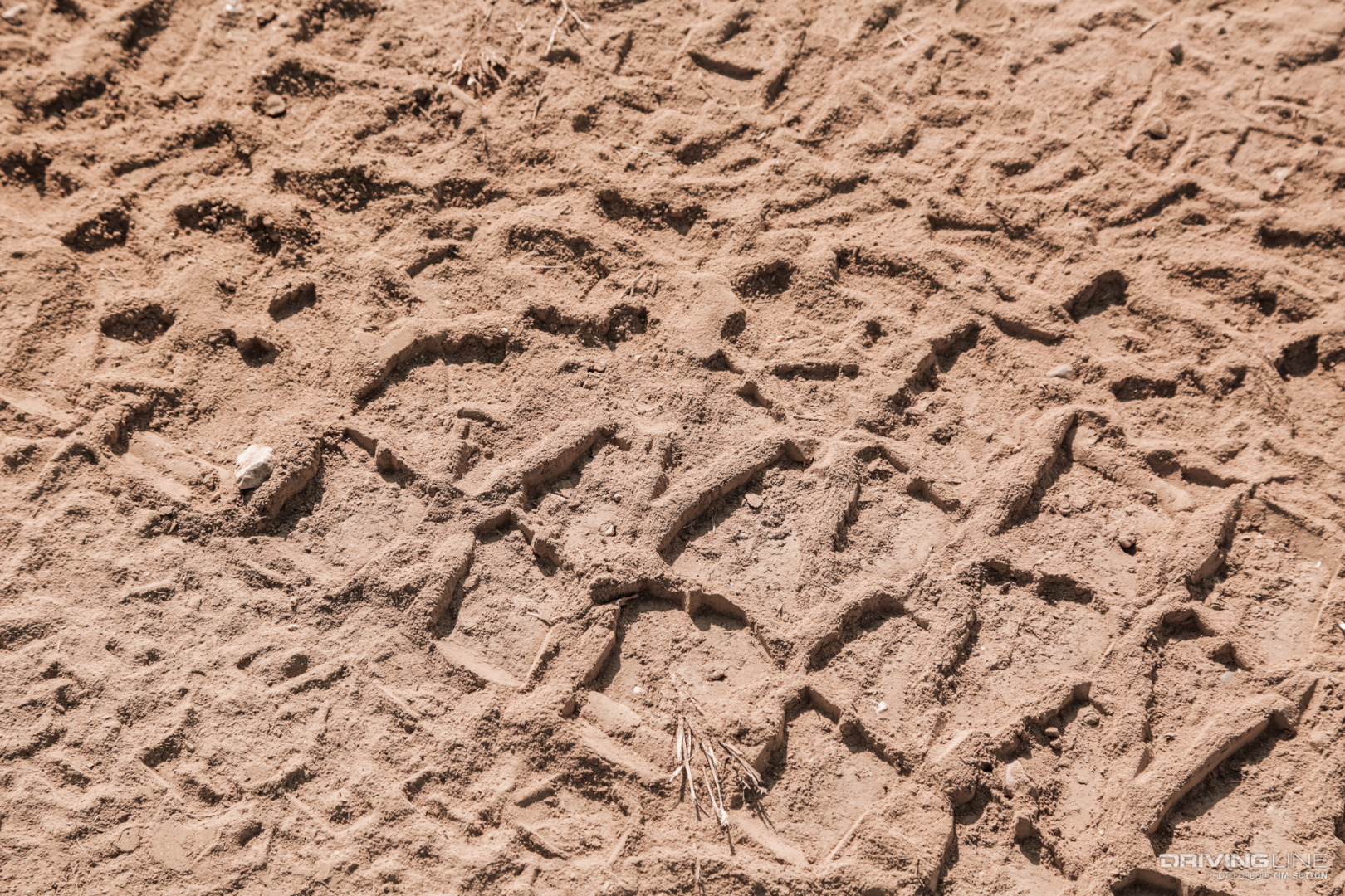 008-Nitto-Mud-Grappler-Tracks