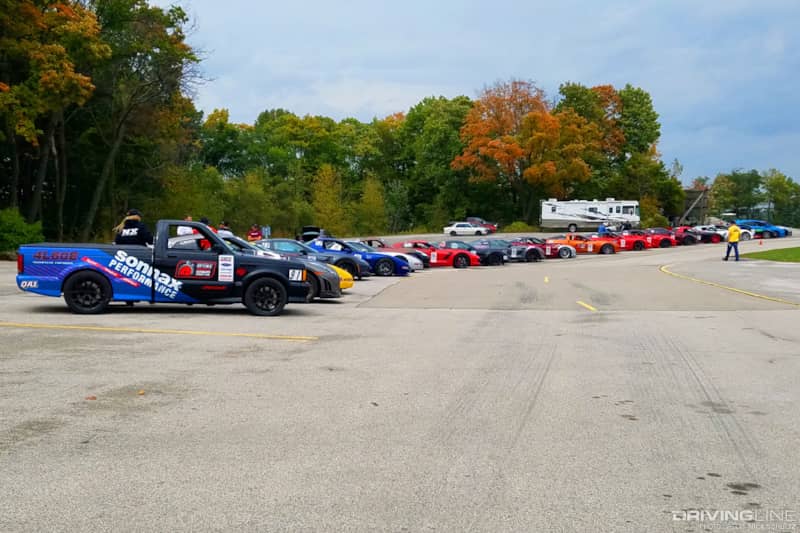 optima diversity
