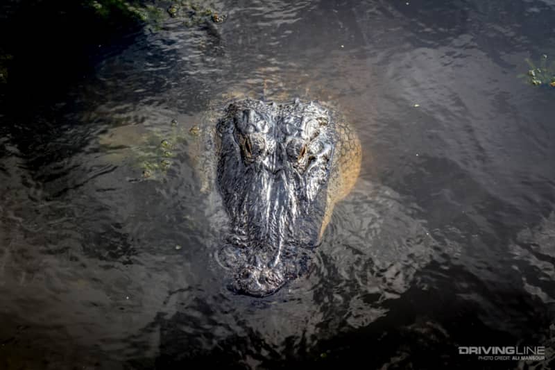 2017-jk-experience-big-river-nitto-tire