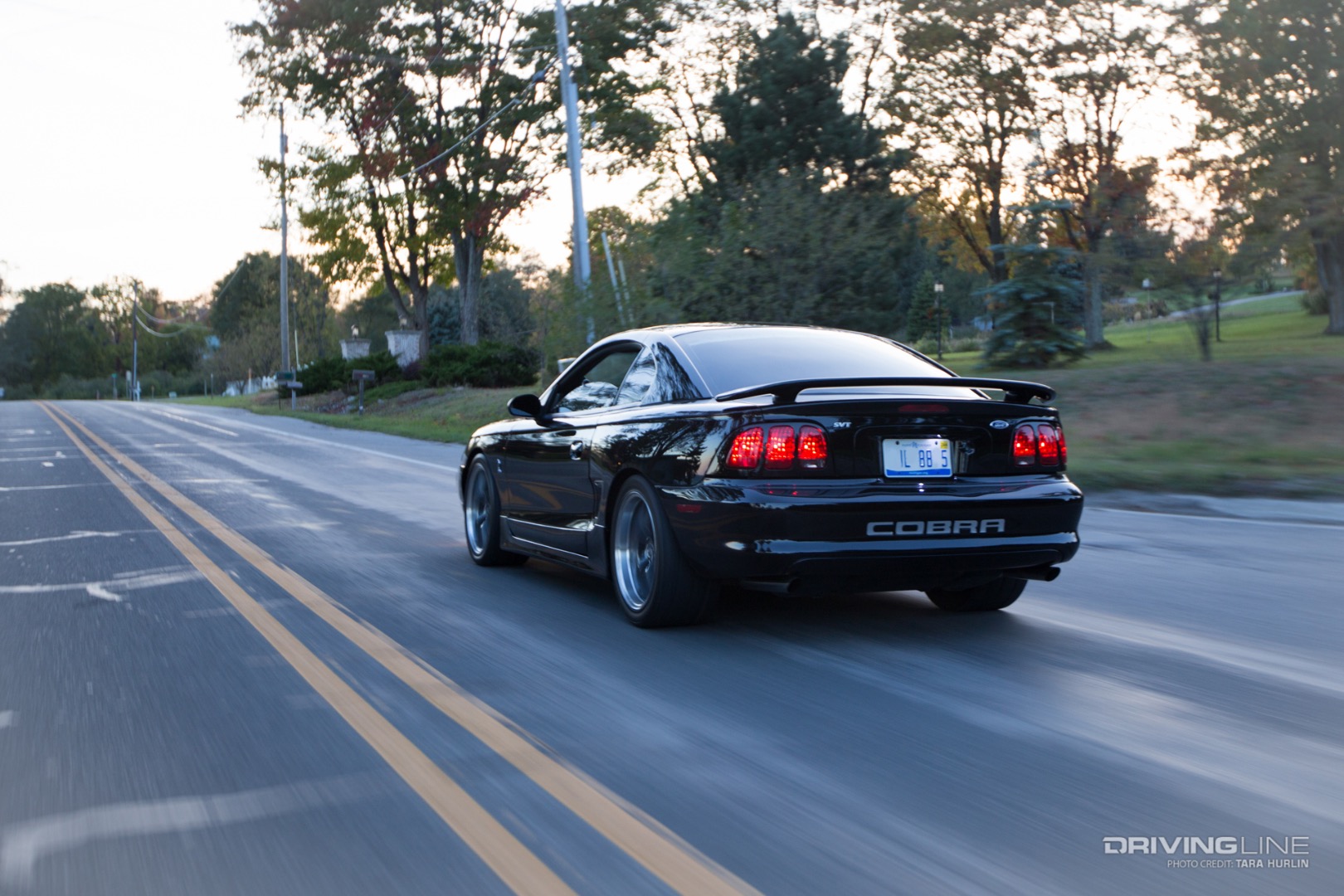 Ford Mustang Cobra Rear