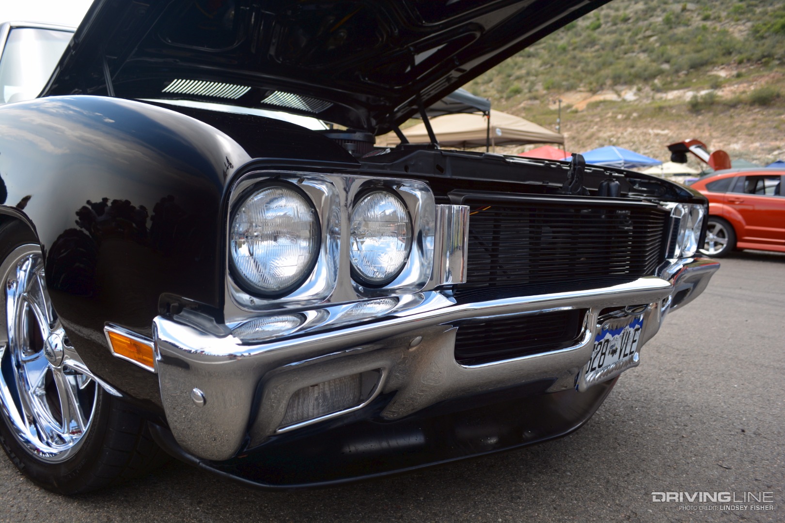 Buick Skylark Grille