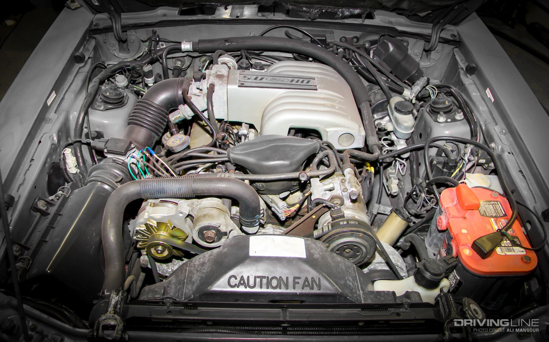 5.0L Ford Mustang 302ci engine