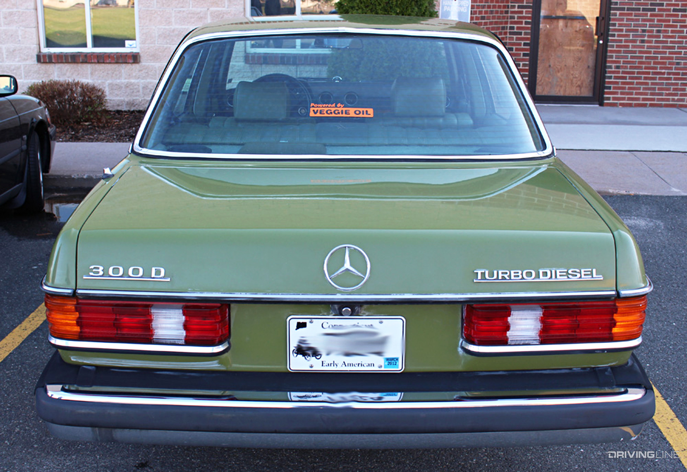 Mercedes W123 Diesel Vegetable oil