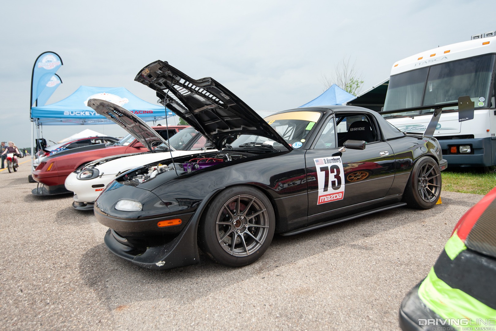 #GRIDLIFE Show Black