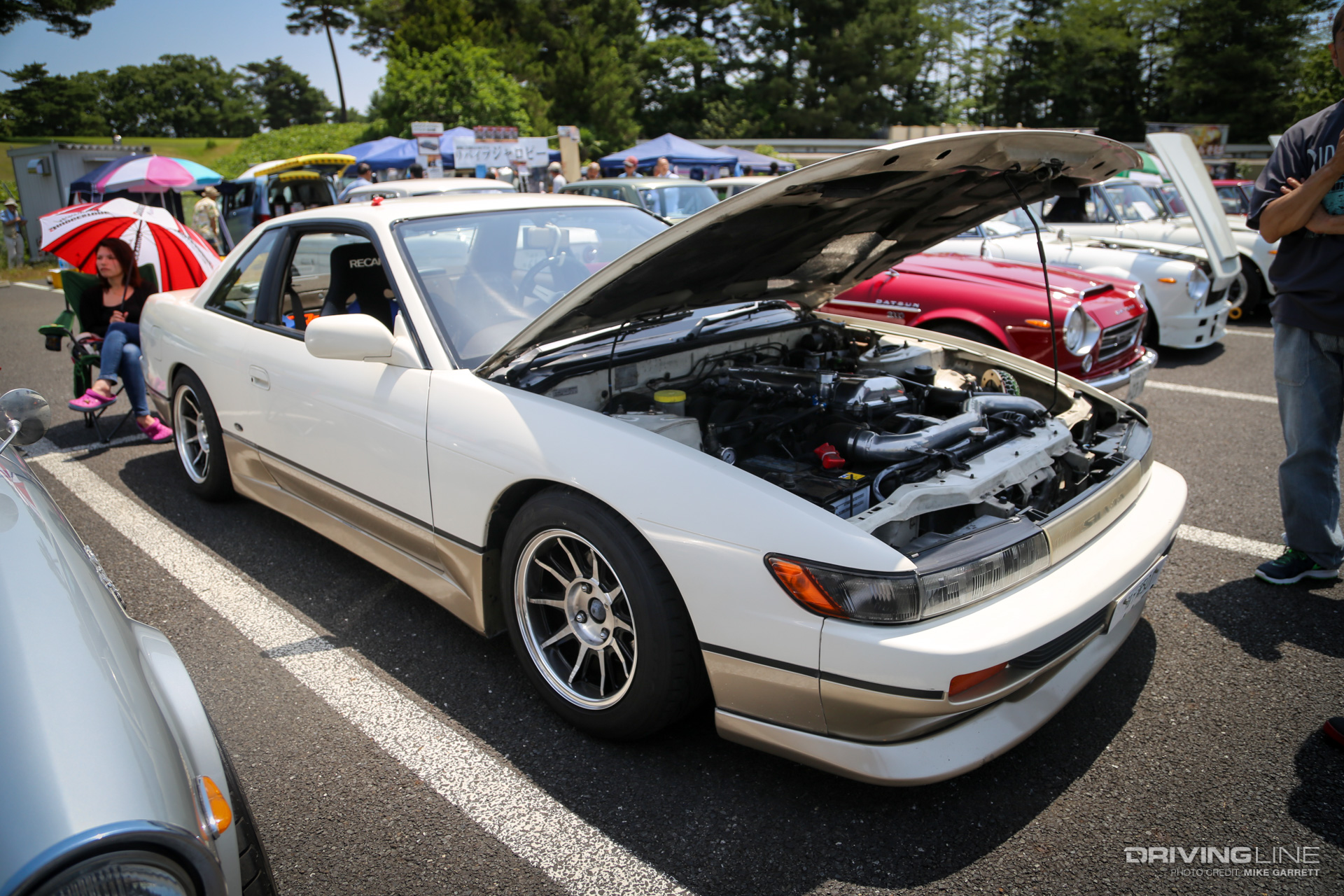 Showa Silvia