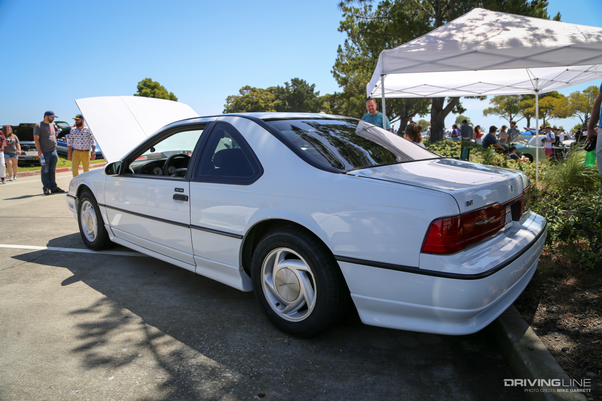 Radwood Thunderbird Rear