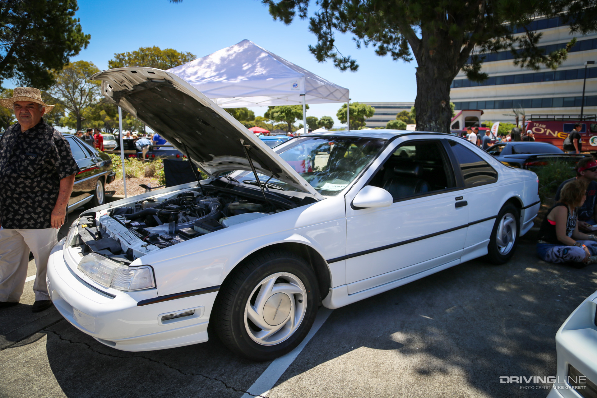 Radwood Thunderbird Hood