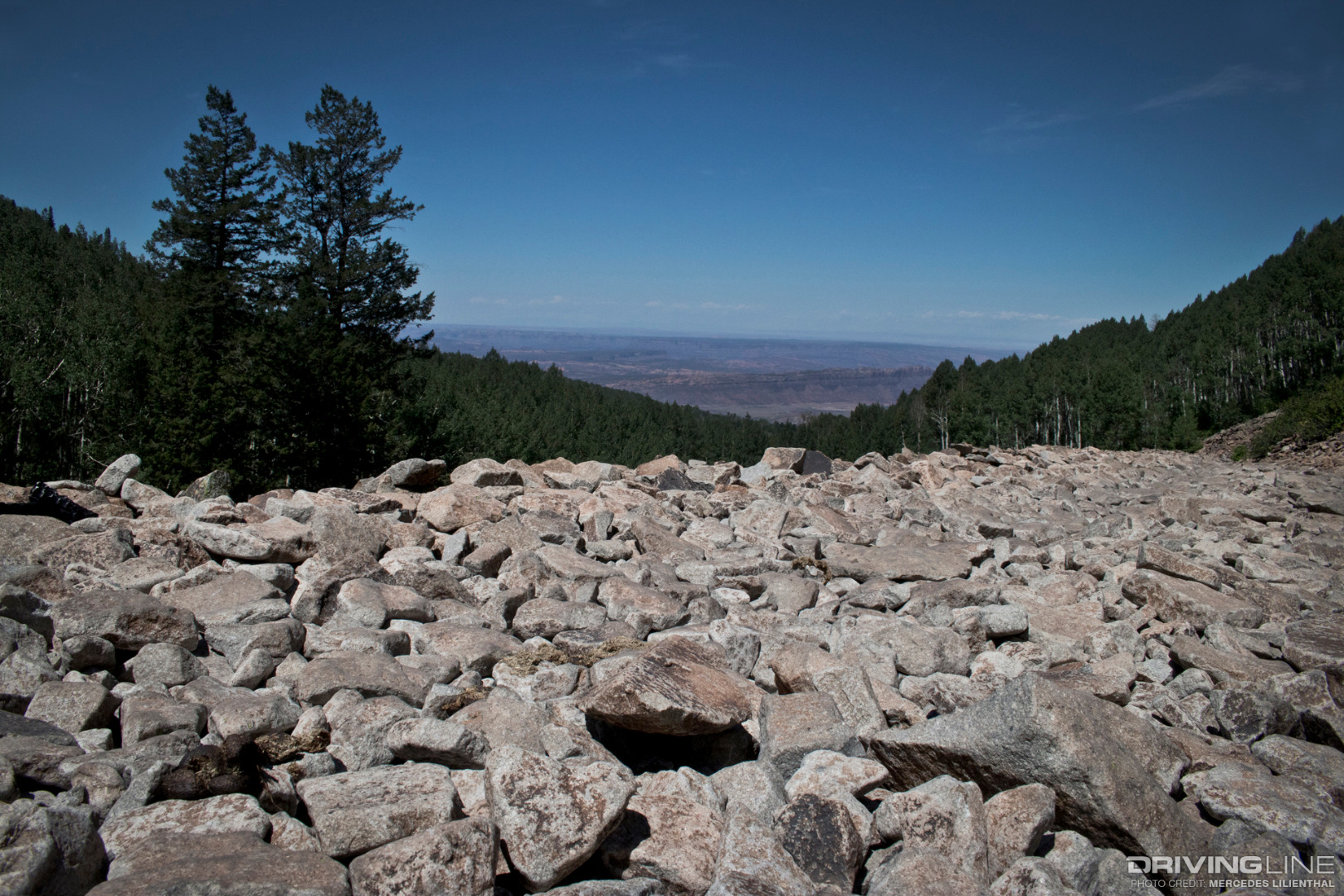 Toyota TRD Pro Rocks