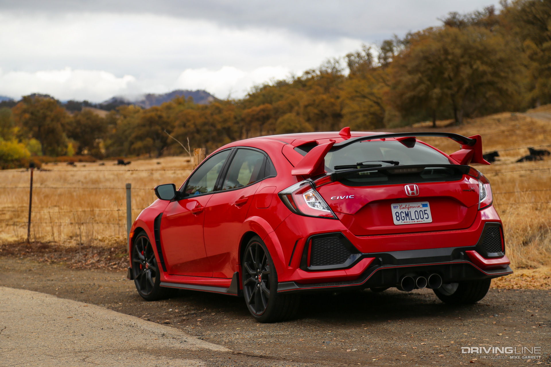 Civic Type R Rear
