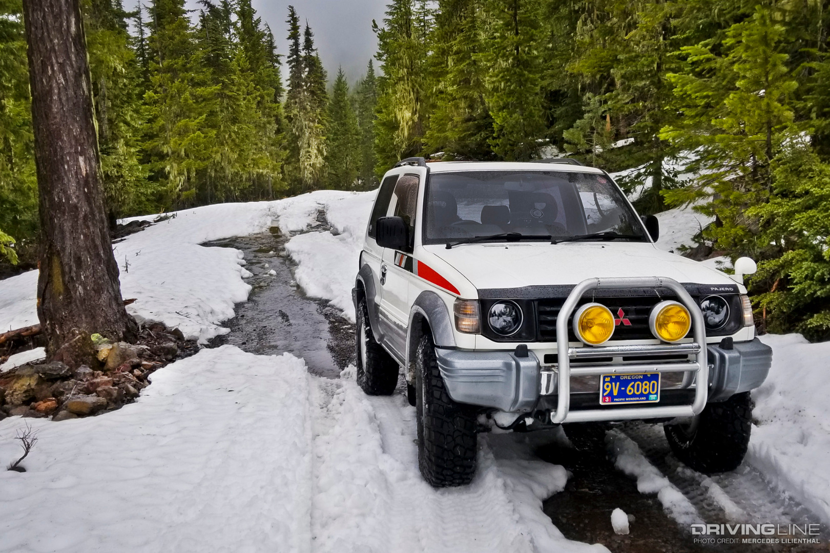Snow and Pajero on Mt. Hood