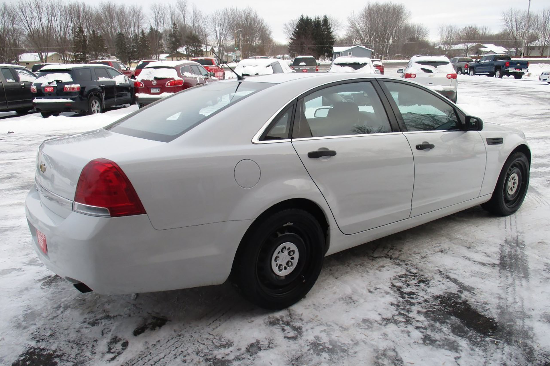 Chevy Caprice PPV White Rear