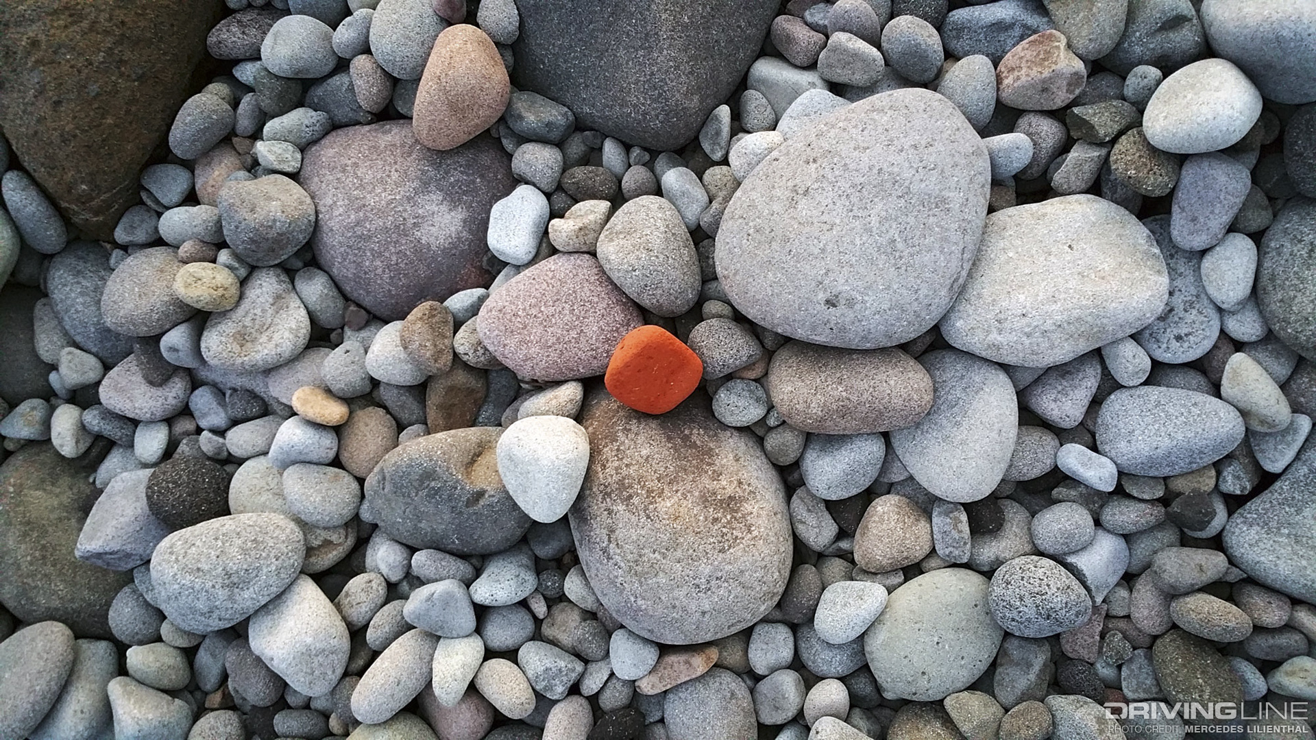 Billions-of-NZ-beach-side-pebbles