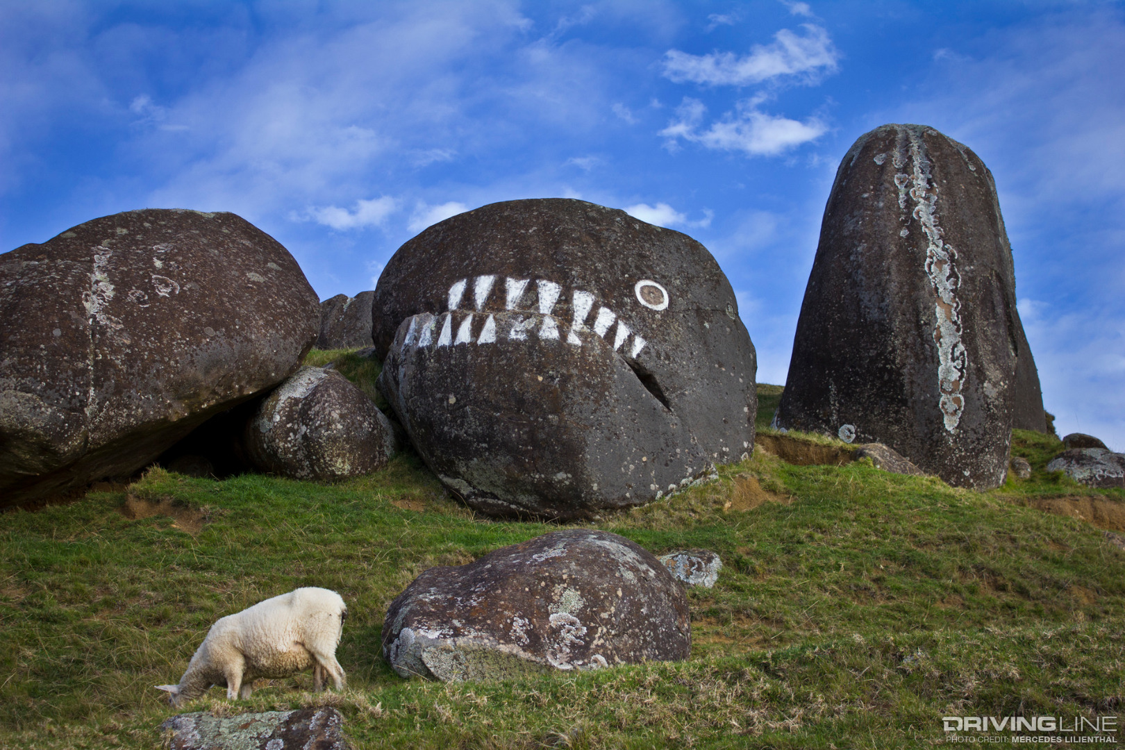 Waiheke-Island-New-Zealand-Stony-Batter