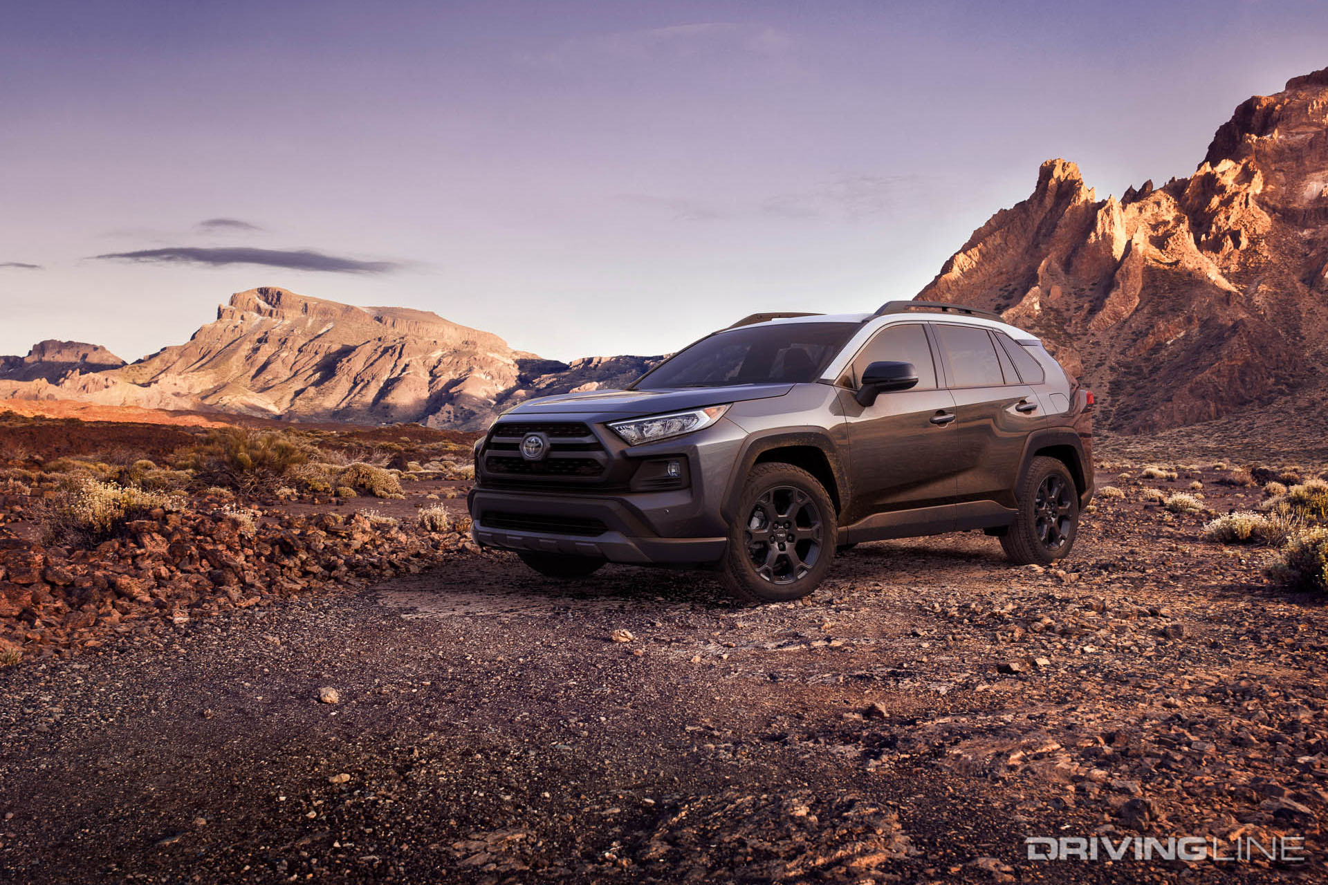 2020 Toyota RAV4 TRD Off-Road Gray