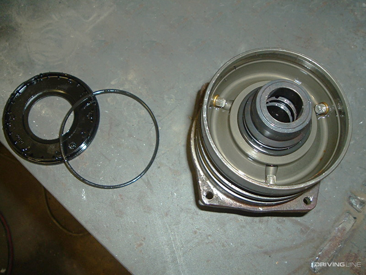 Bosch VP44 Diaphragm