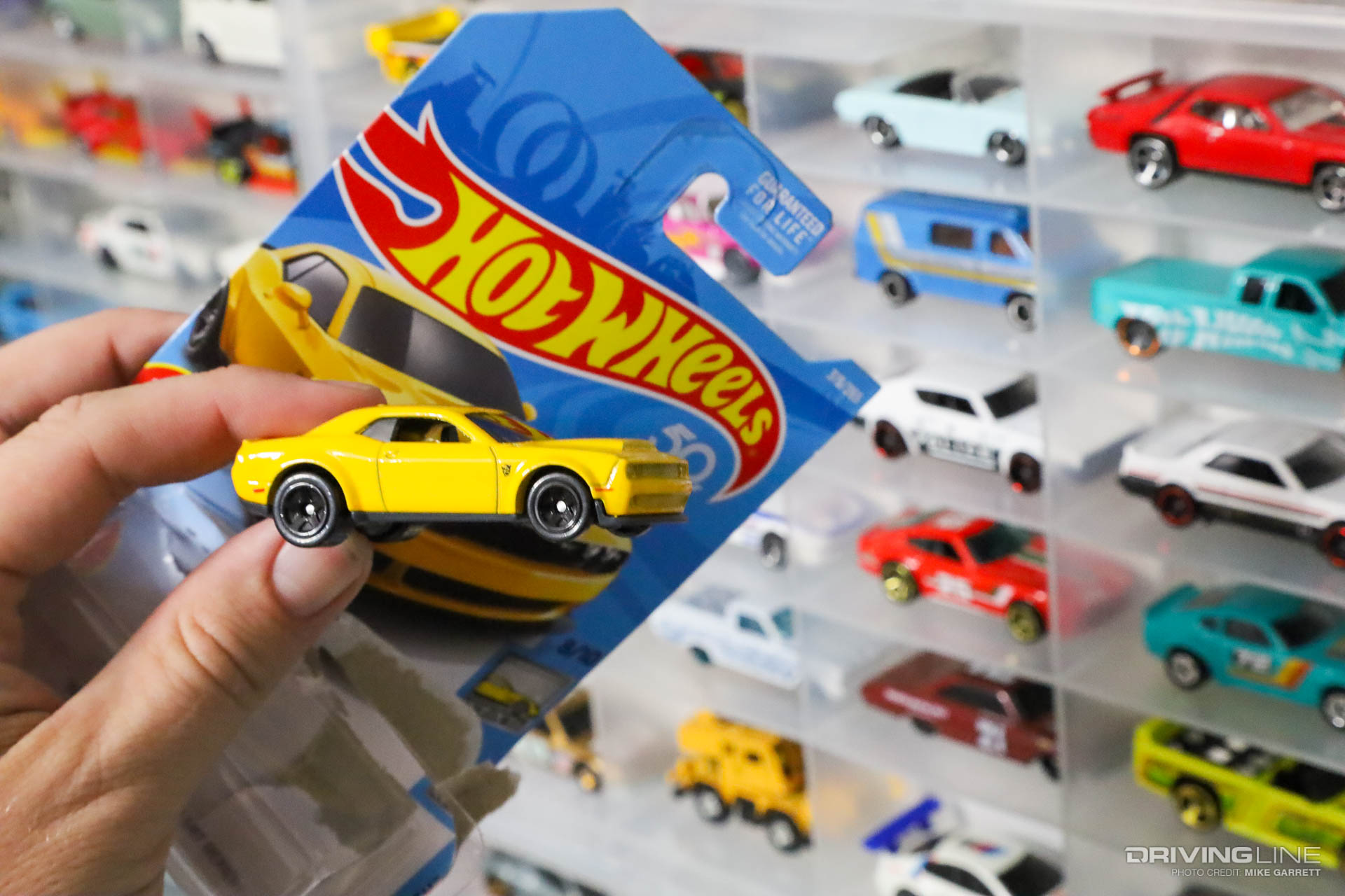 Hot Wheels Matchbox Plano Display Case