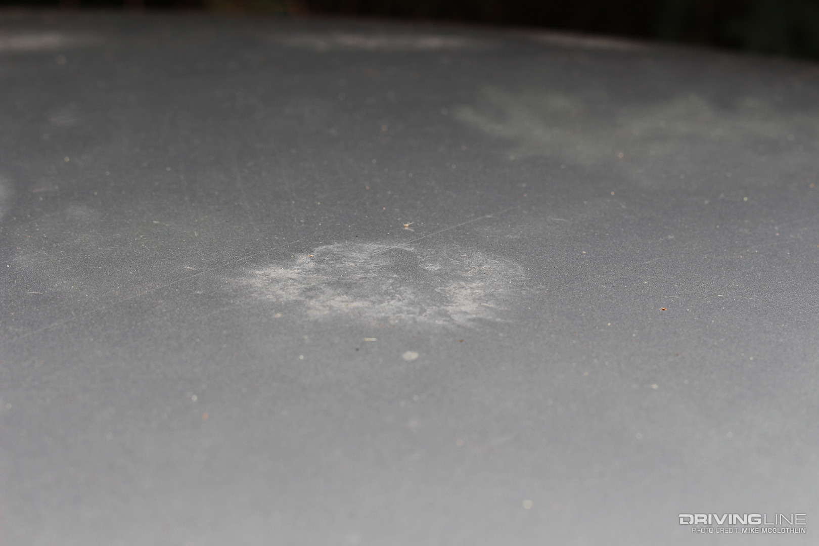 Bird Dropping Paint Damage