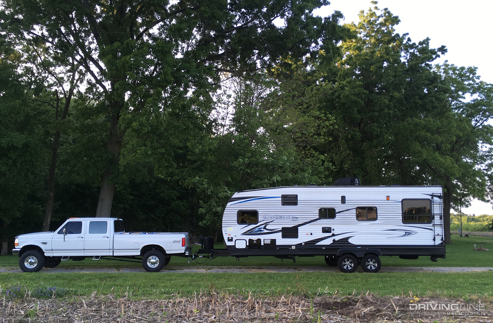 Tree Sap Damage truck under tree