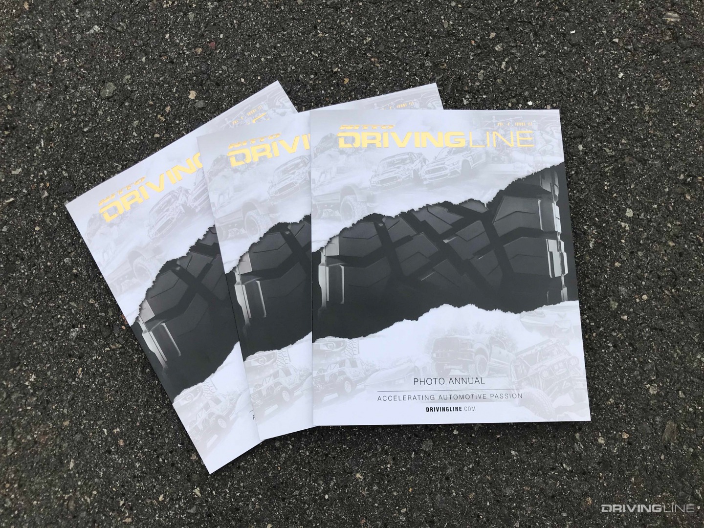 Driving Line Issue 20