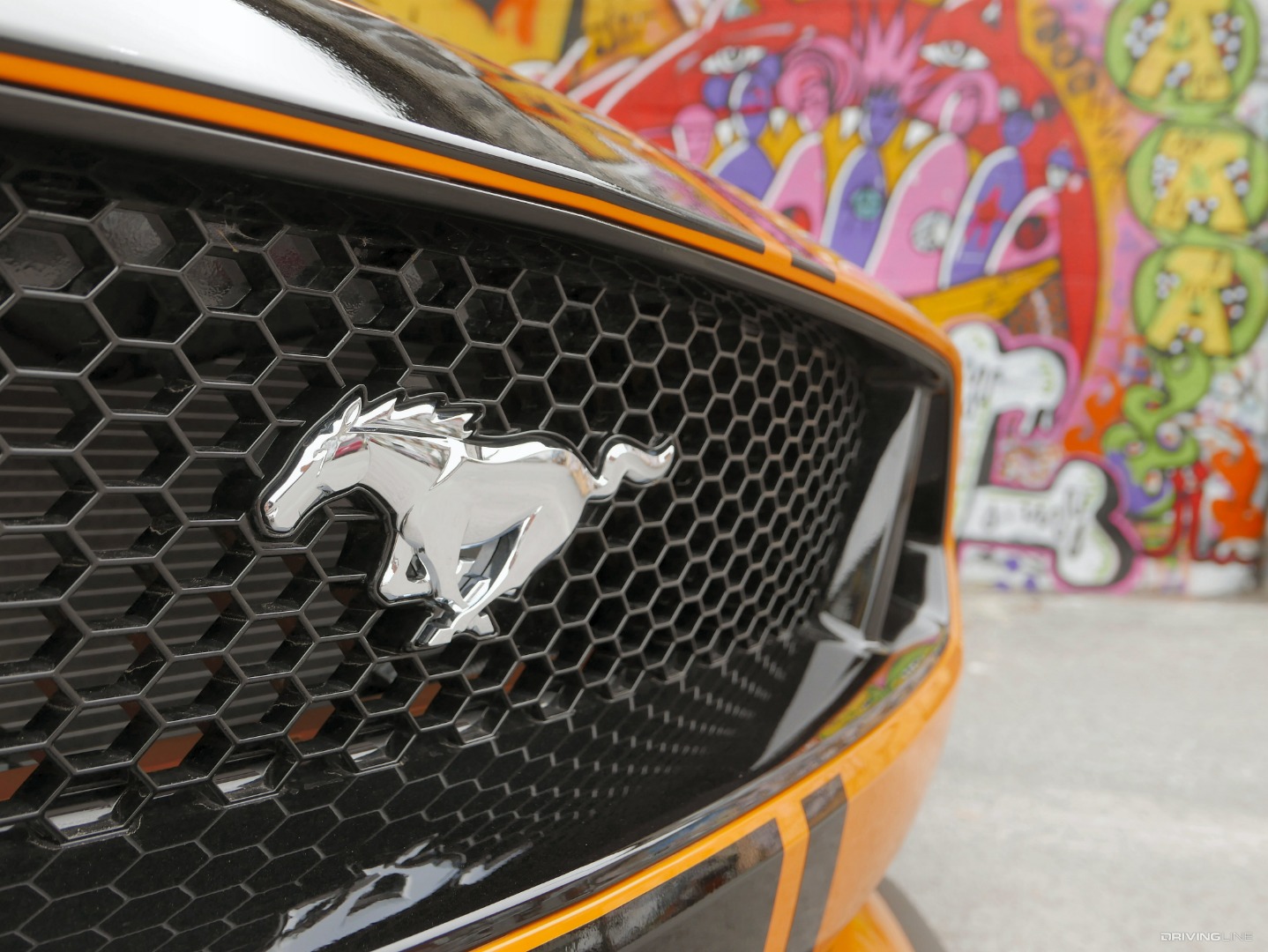 Grille of 2019 Ford Mustang Performance Pack 1