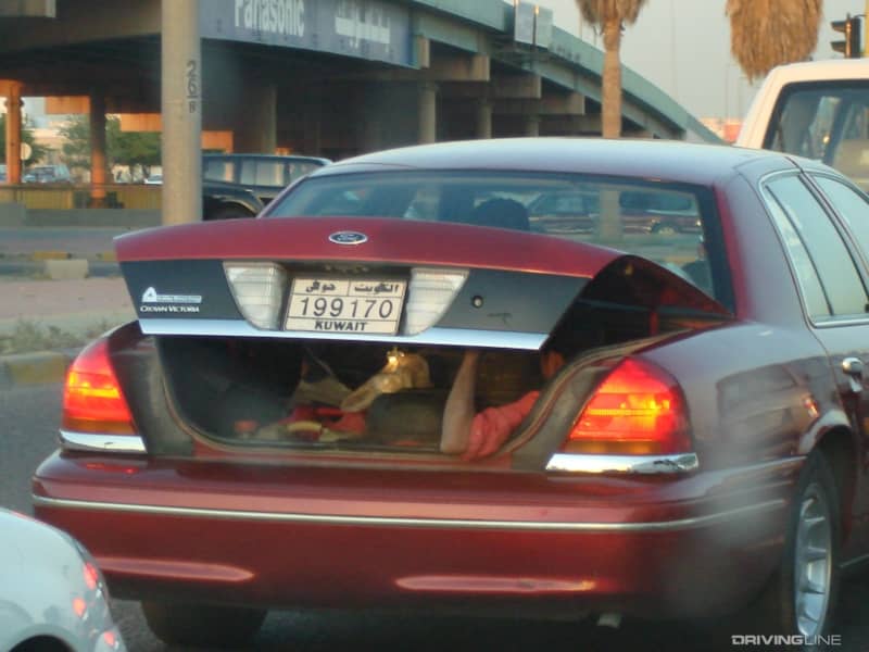Man in trunk of car