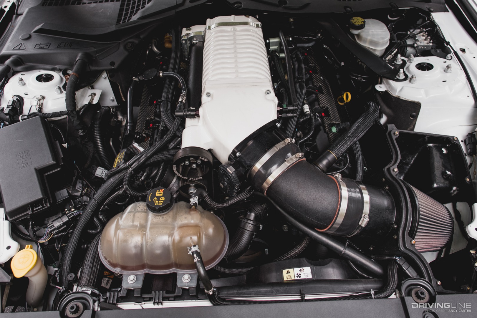 Whipple Supercharger on a Mustang