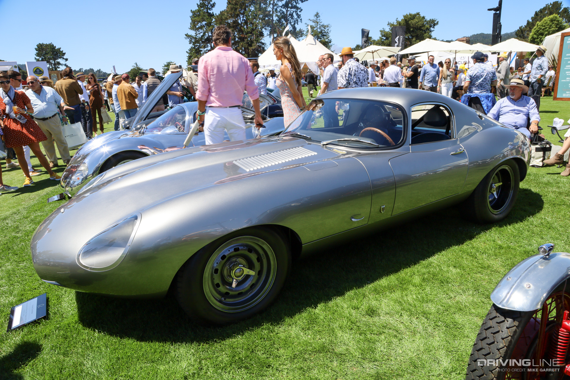 Jaguar E-Type Owl226