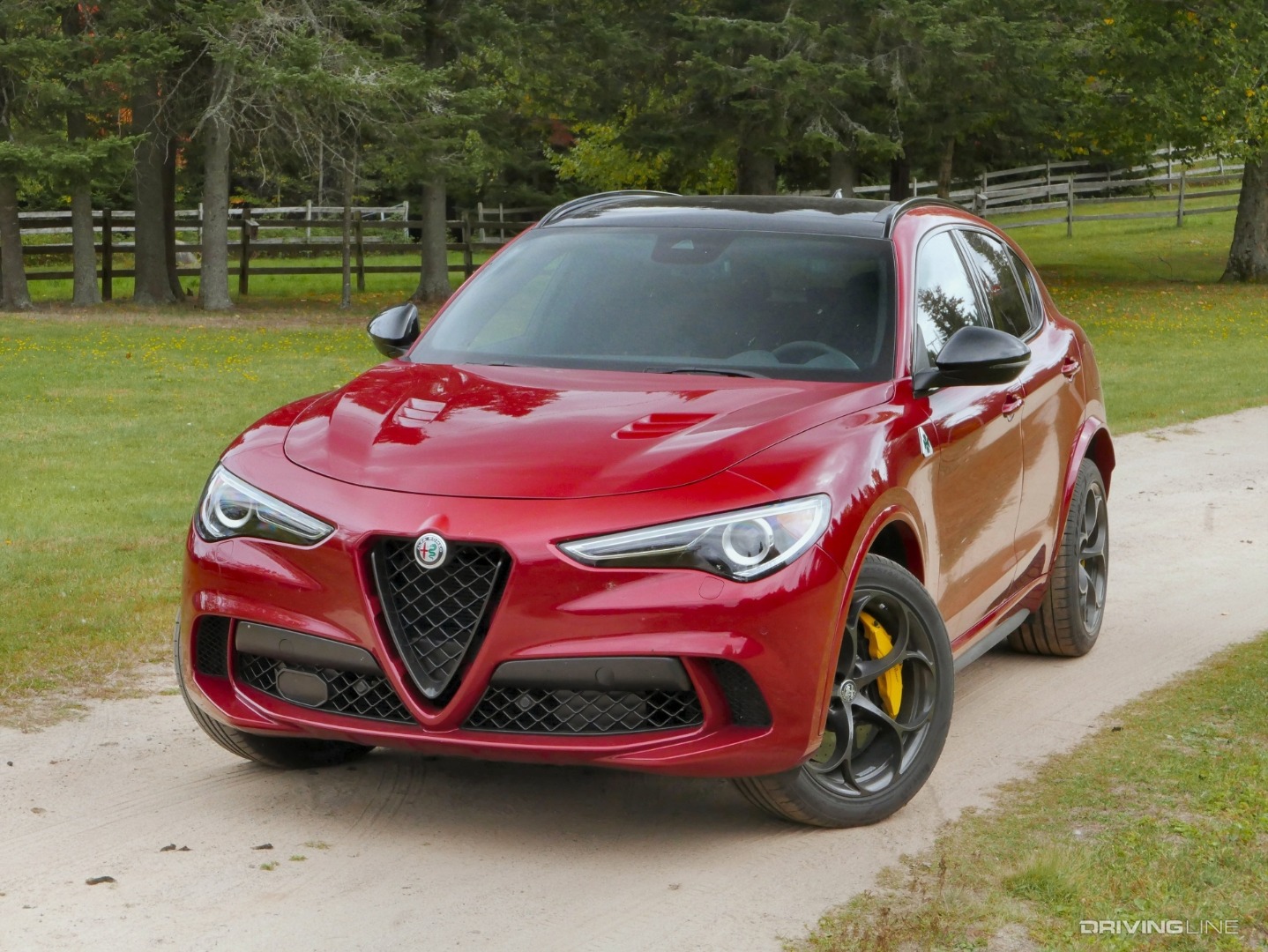 2019 Alfa Romeo Stelvio Quadrifoglio front 3/4.