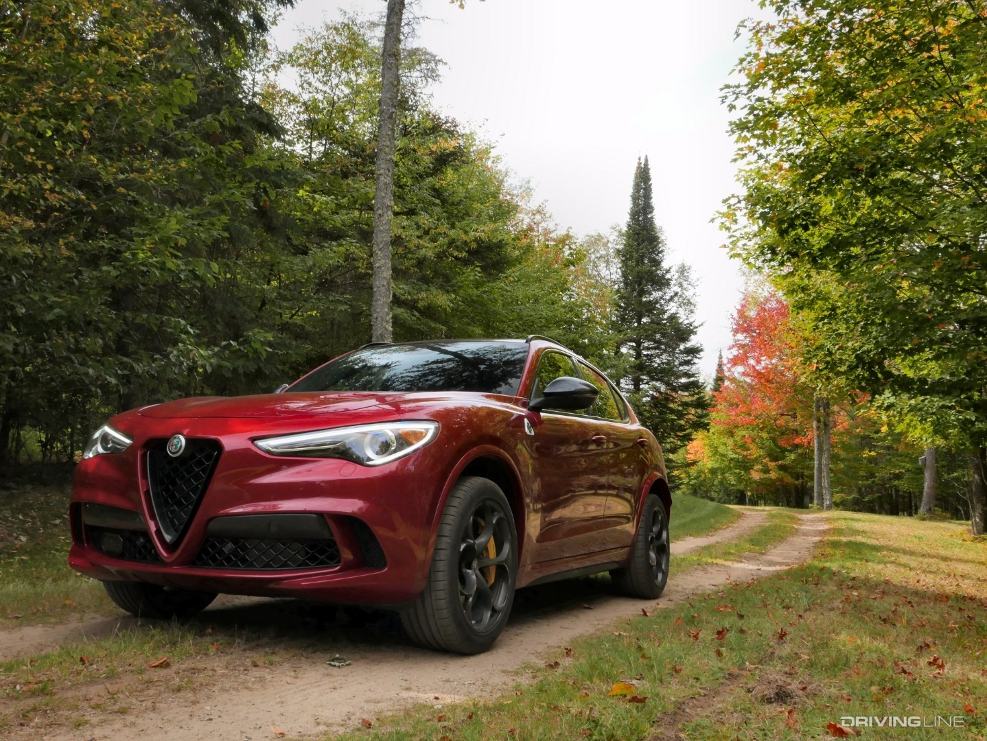 2019 Alfa Romeo Stelvio Quadrifoglio front 3/4