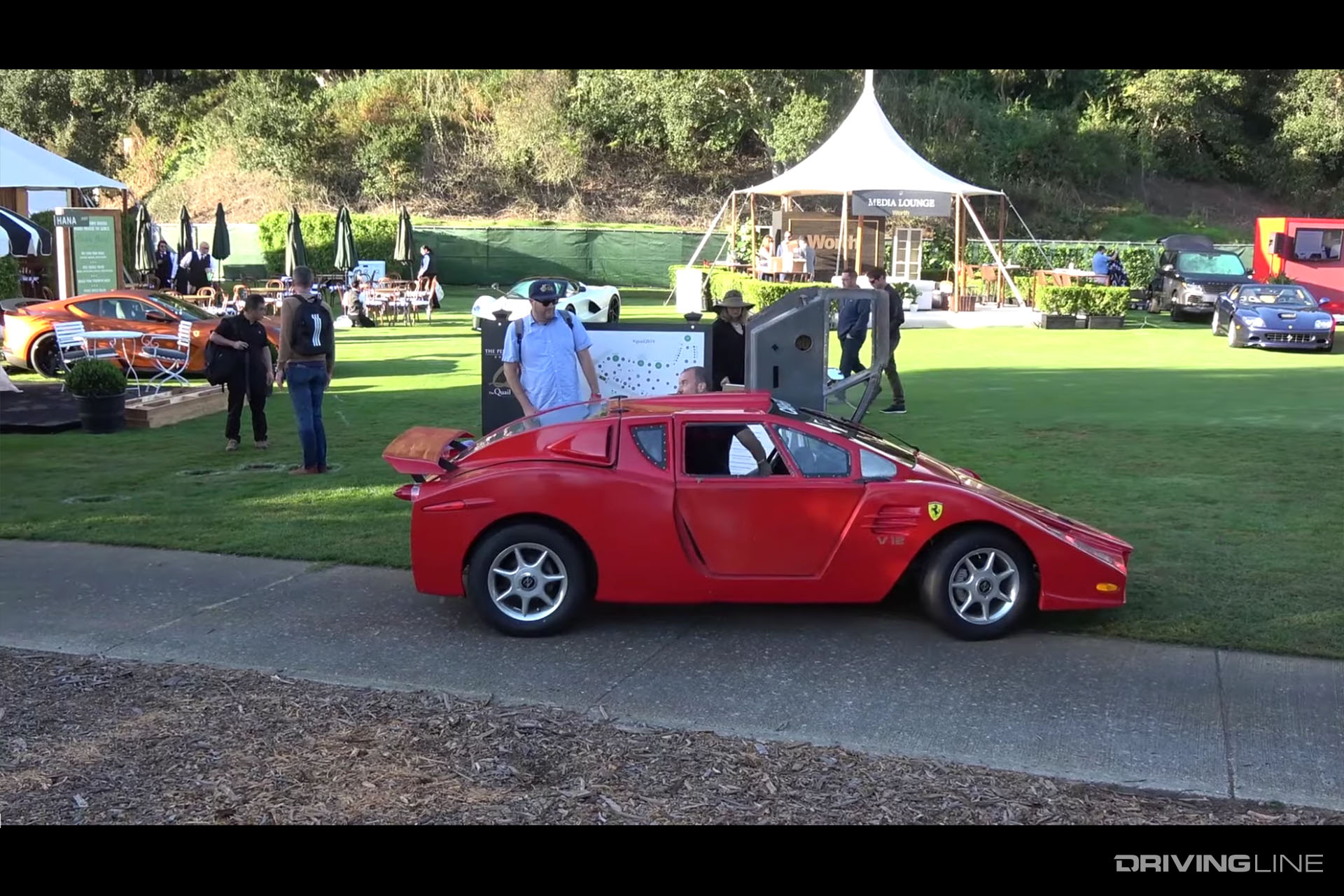 Car Bros Fake Ferrari Enzo The Quail