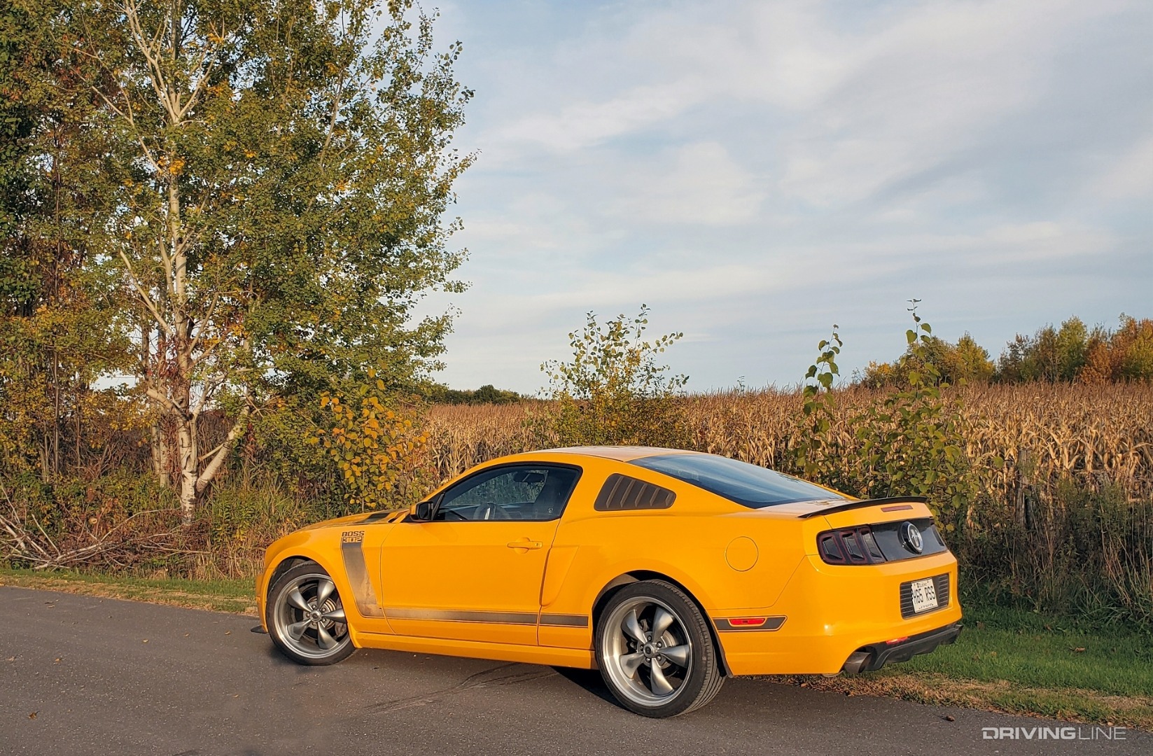 2013 Ford Mustang Boss 302
