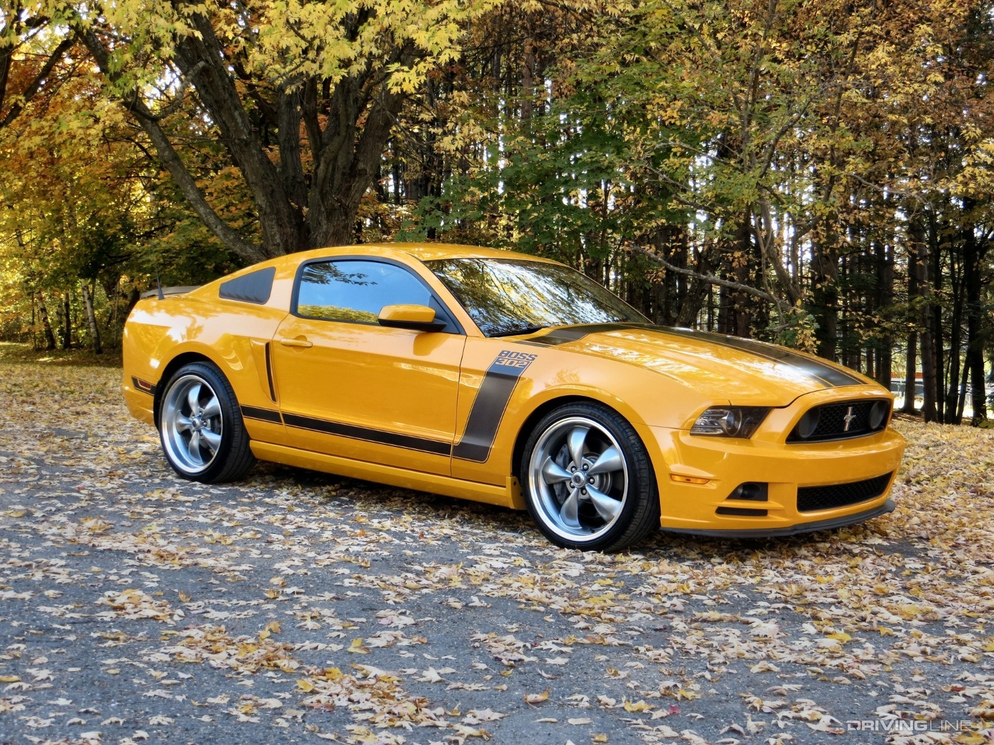 2013 Ford Mustang Boss 302