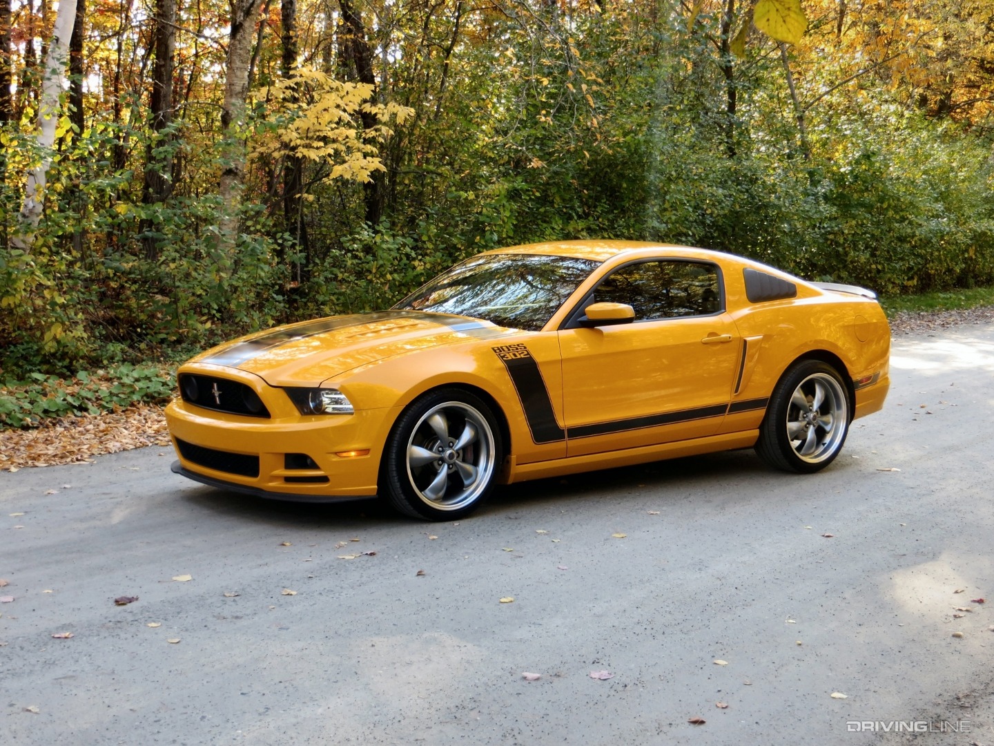 2013 Ford Mustang Boss 302