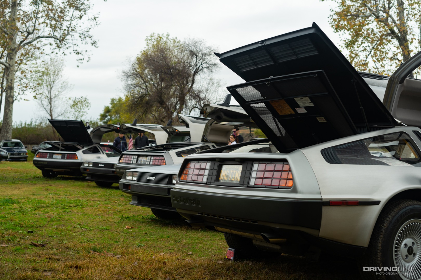 five DeLoreans parked next to each other with trunks and doors open