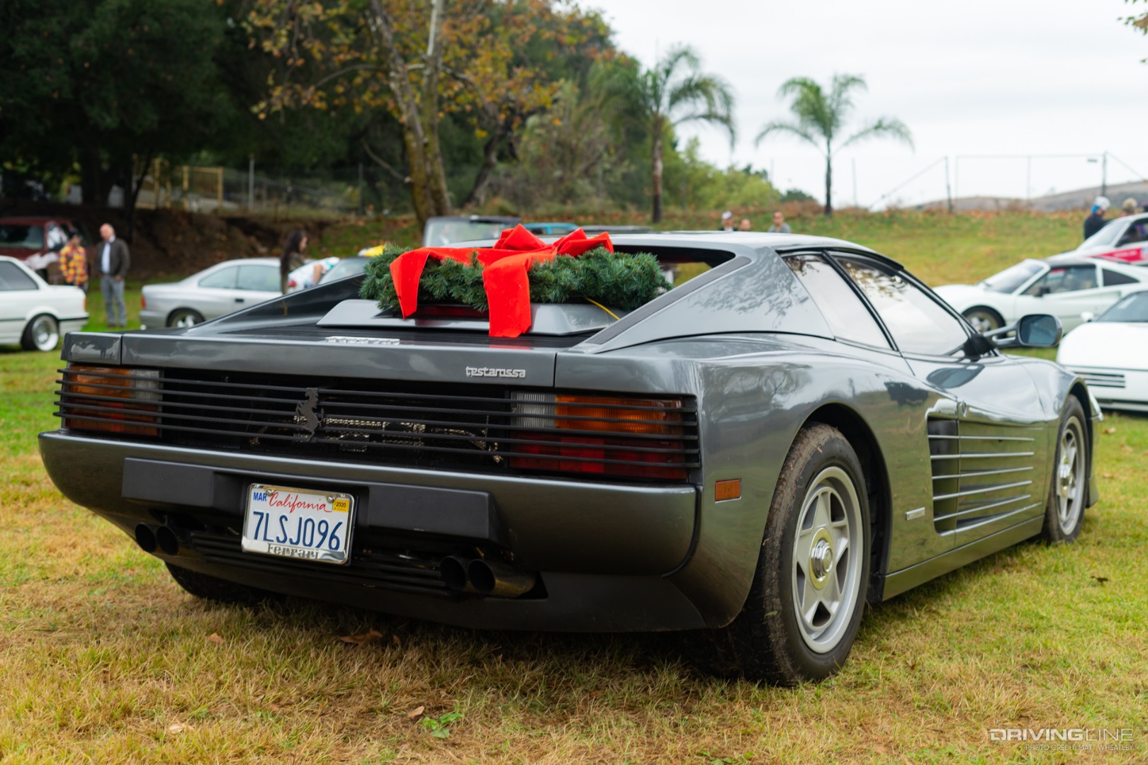 rear of Ferrari Testarossa with a Christmas wreath on the back
