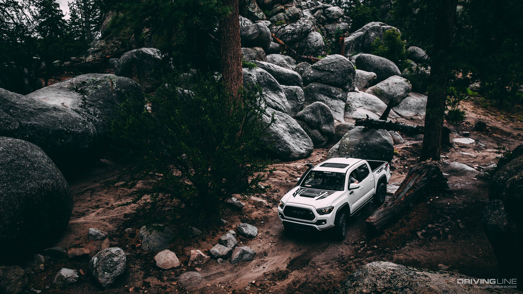 Toyota Tacoma on Holcomb valley trail