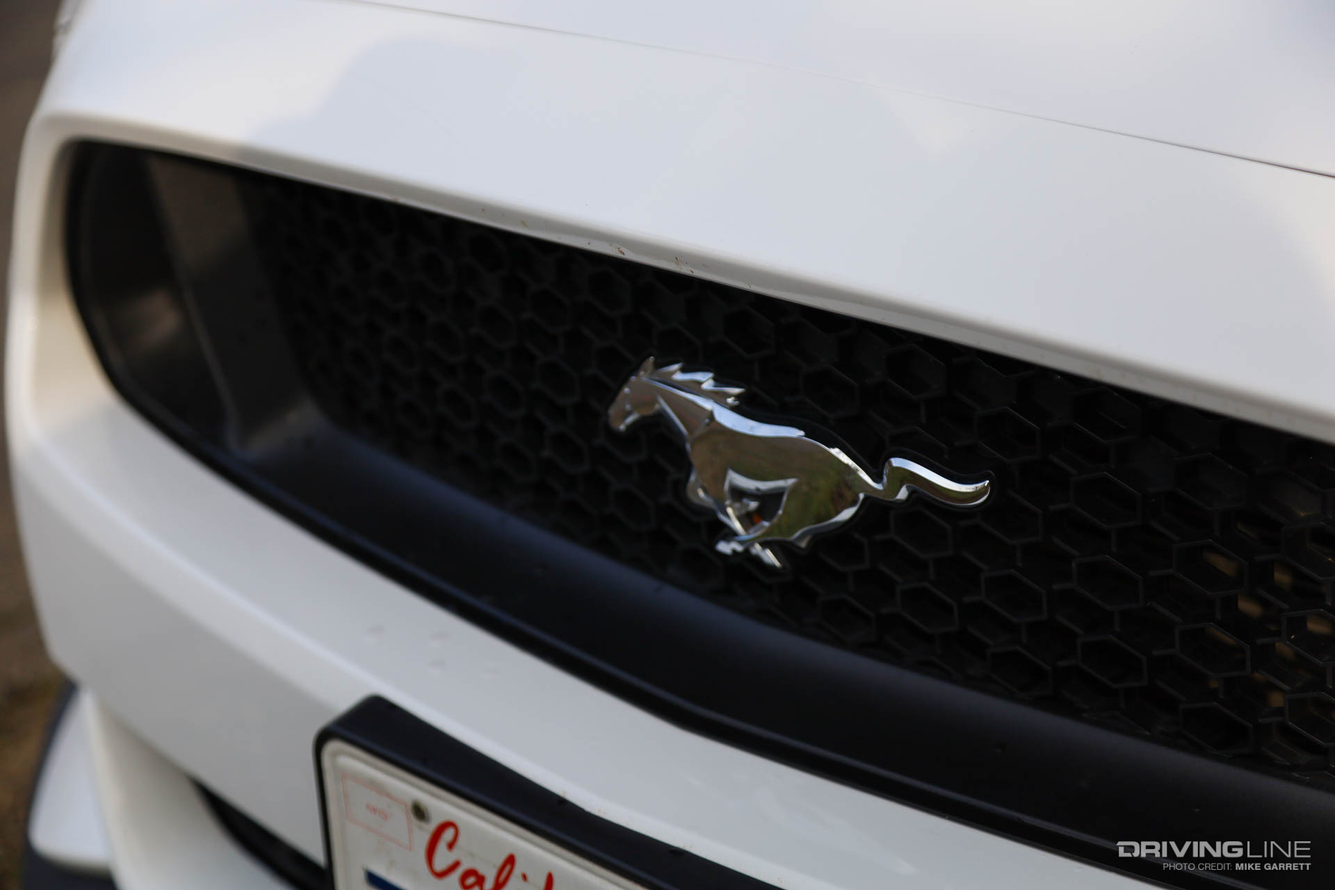 2016 Ford Mustang GT Grille