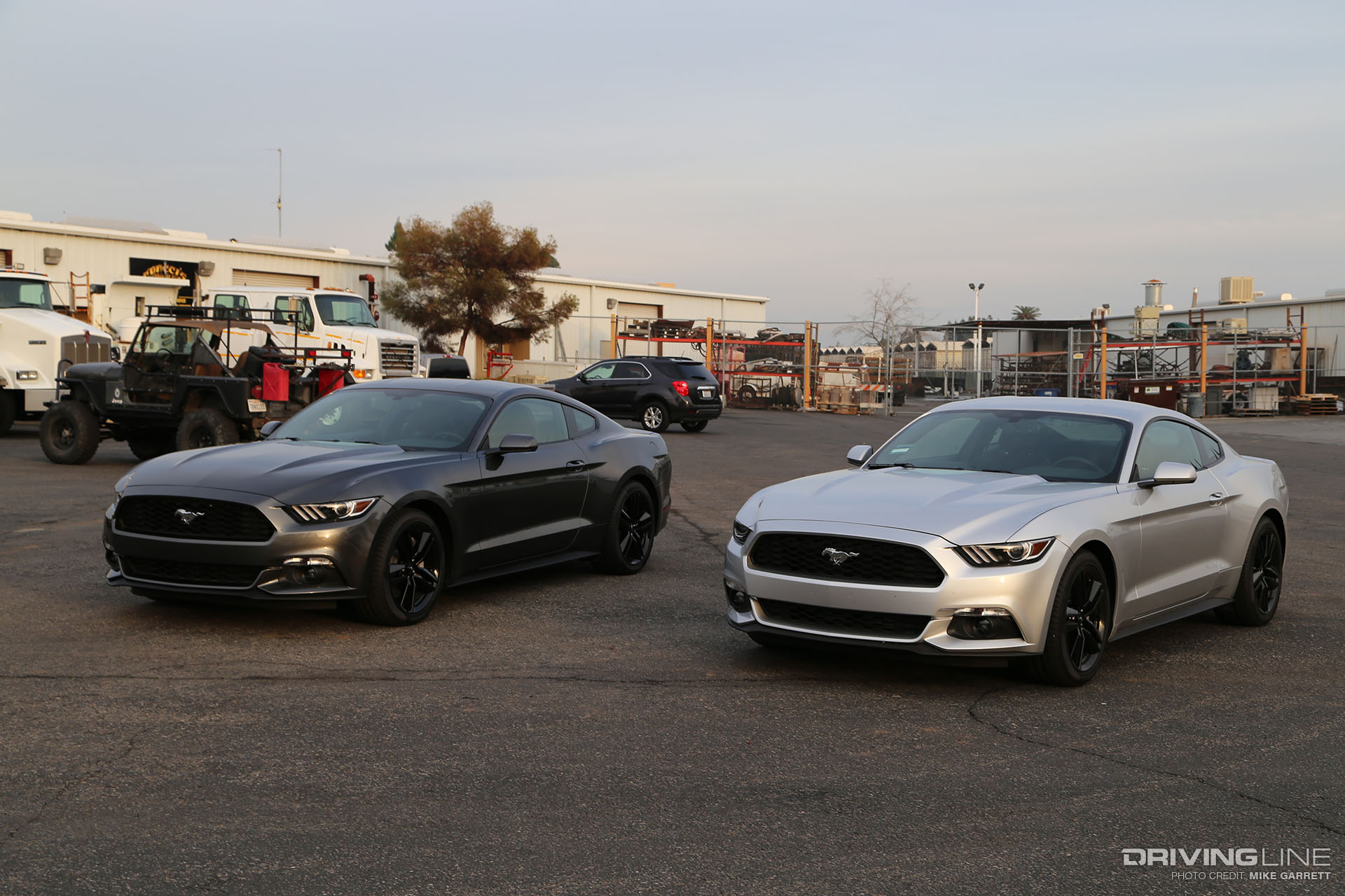 2015 Mustang EcoBoost SIlver Gray