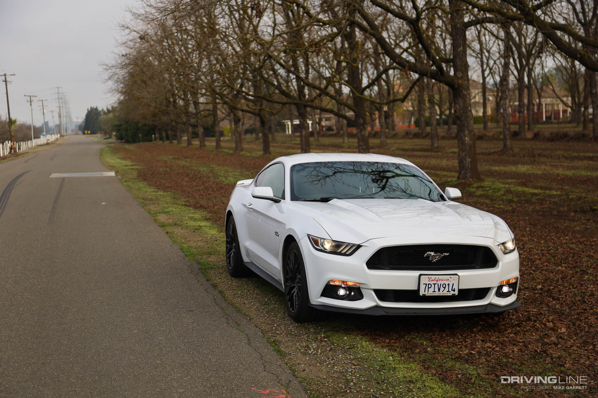2016 Ford Mustang GT White