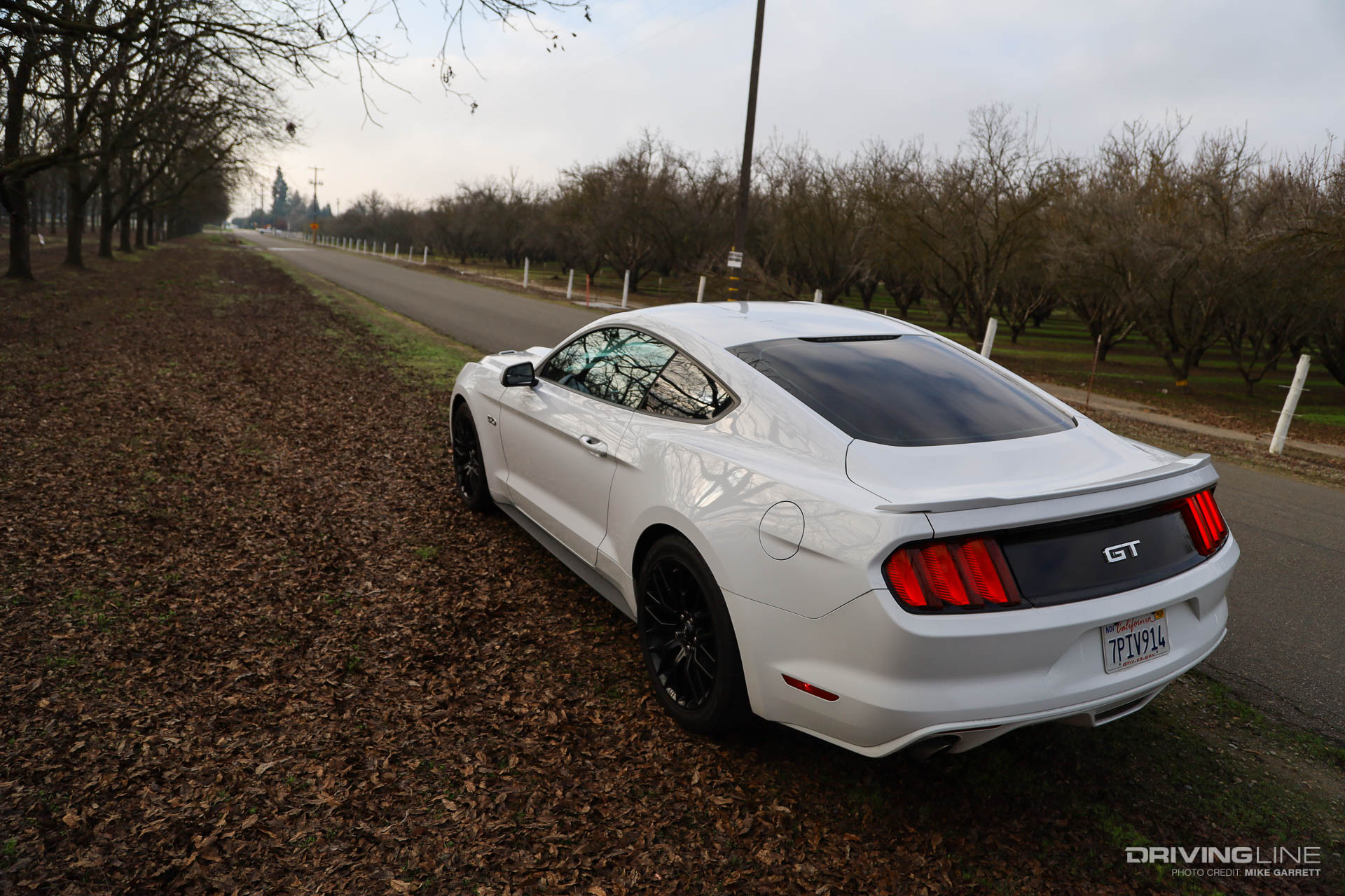 2016 Ford Mustang GT White Rear