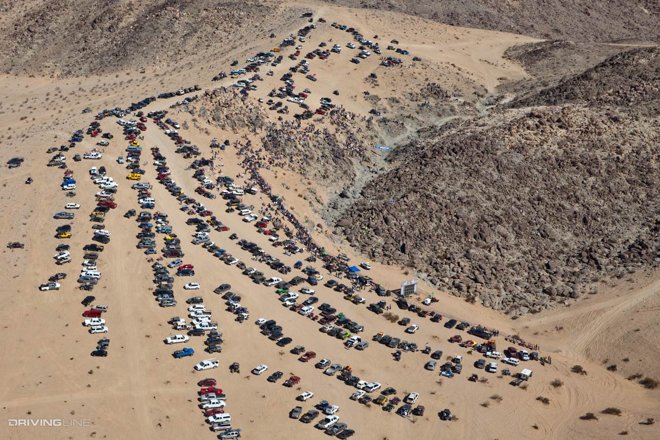 Chocolate Thunder on race day KOH