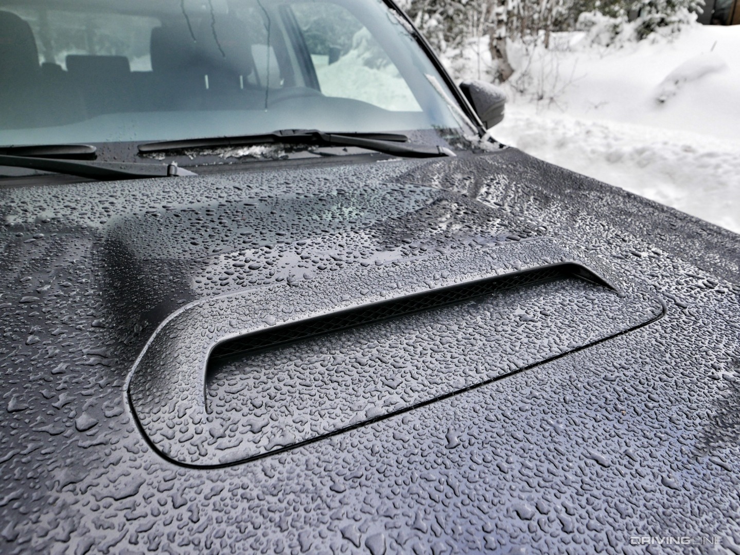 2020 Toyota 4Runner Venture Special Edition hood scoop.